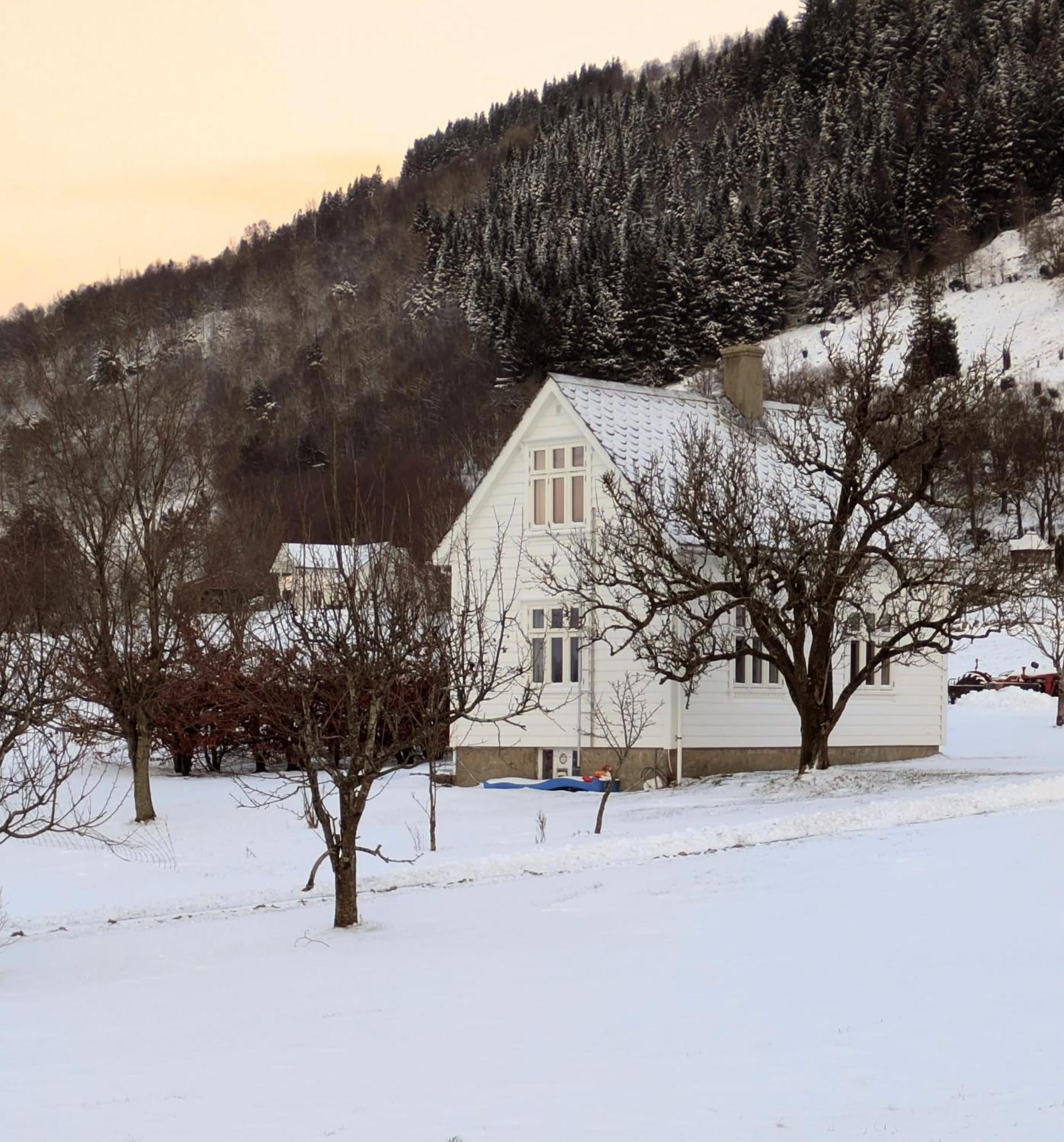 Donhaug Gjestegard Uskedalen Exteriér fotografie